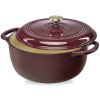 6 Quart Large  Enamel Cast-Iron Dutch Oven Kitchen Cookware